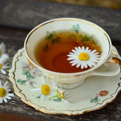 PAPATYA ÇAYI