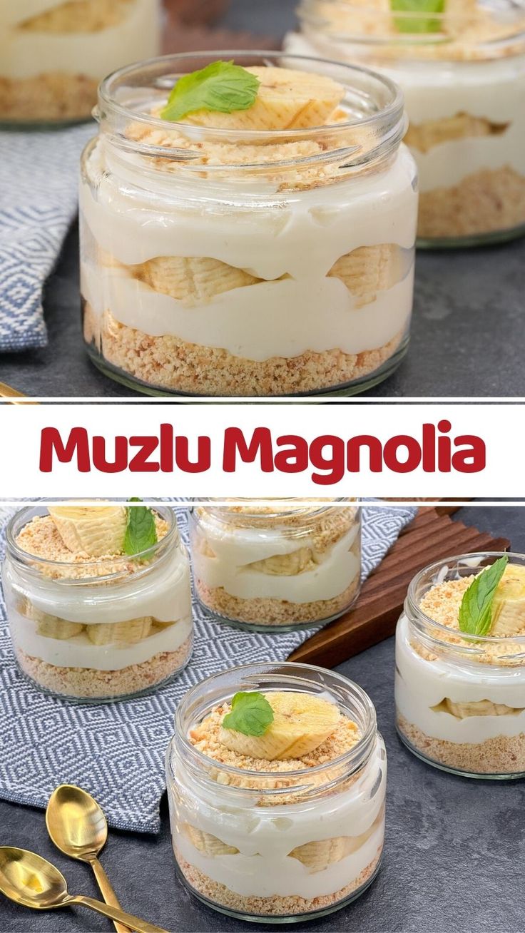 MUZLU MAGNOLIA